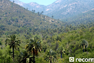 Parque Nacional La Campana