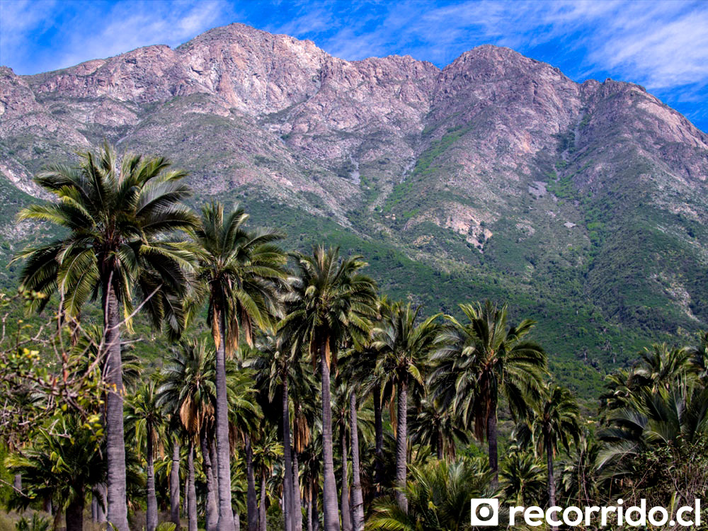 Parque Nacional La Campana