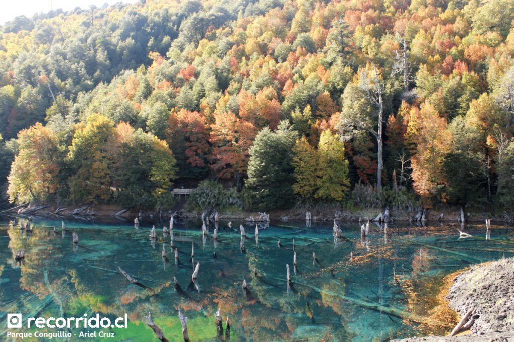Laguna Arcoiris en Parque Nacional Conguillío