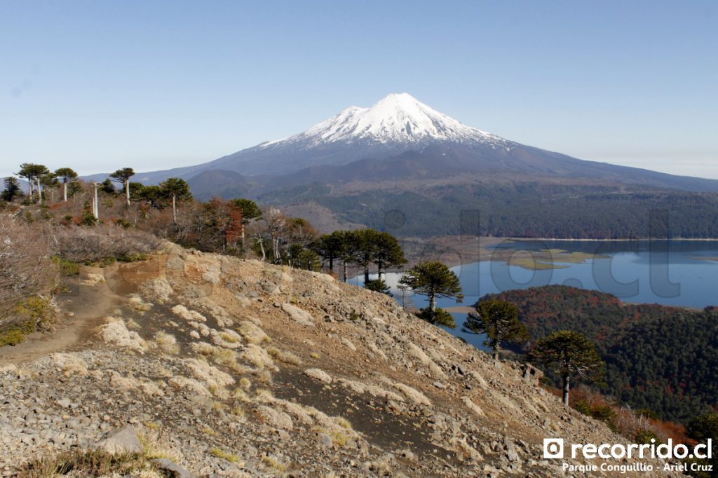Vista del Volcán Llaima desde sendero Sierra Nevada